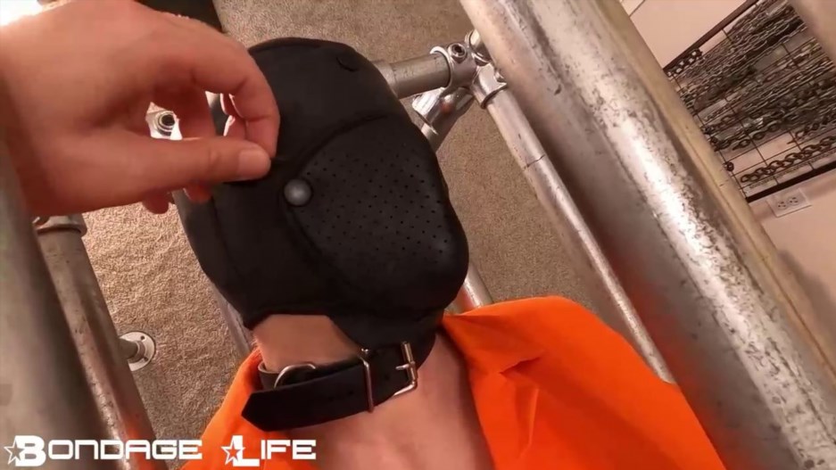 Bondage Life – Mental Asylum Inmate – 9/29/2026 – Rachel Greyhound